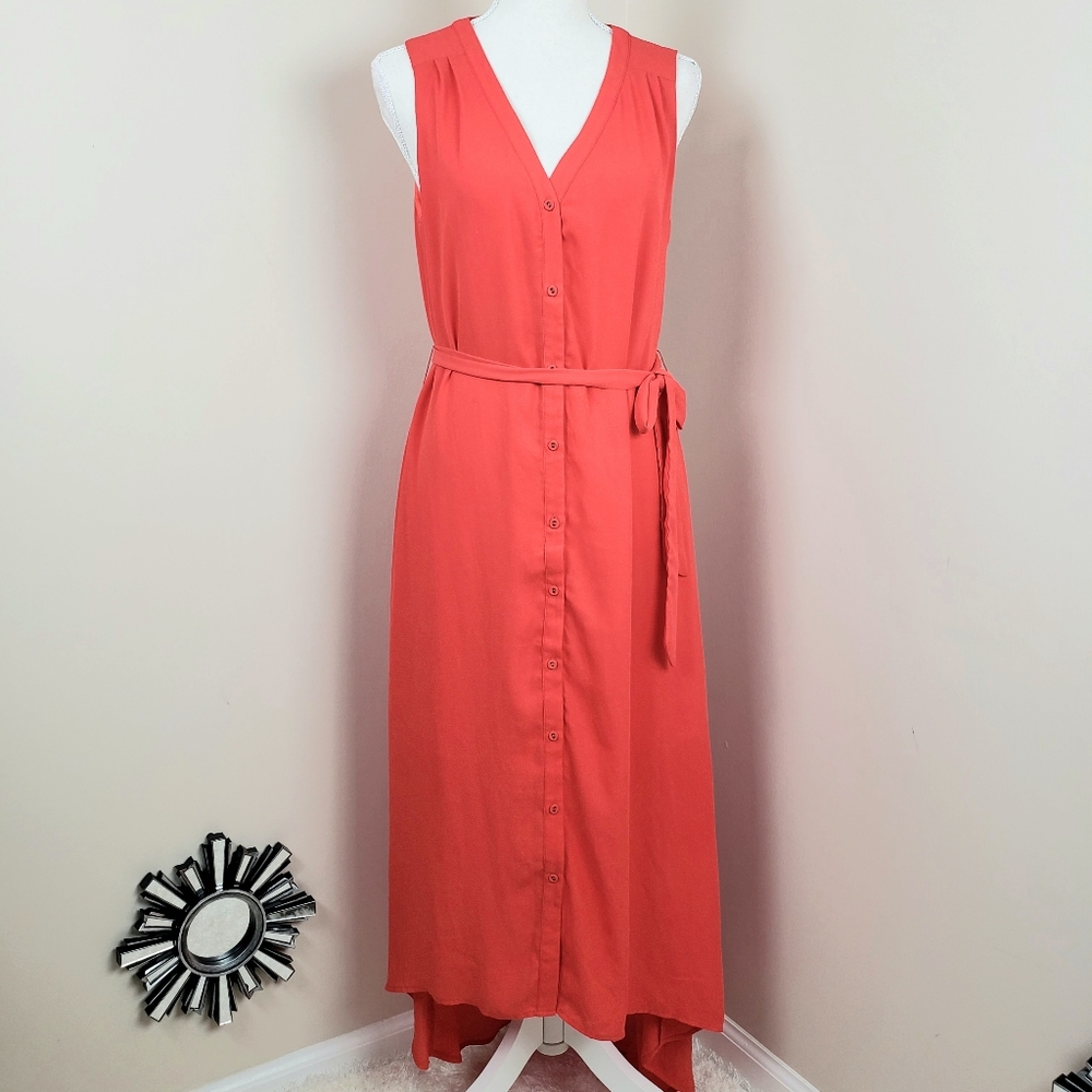 Skies Are Blue button down dress